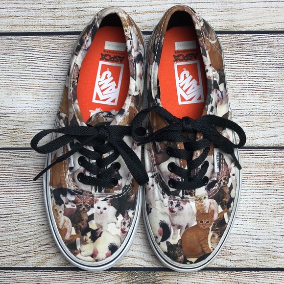 kitten vans